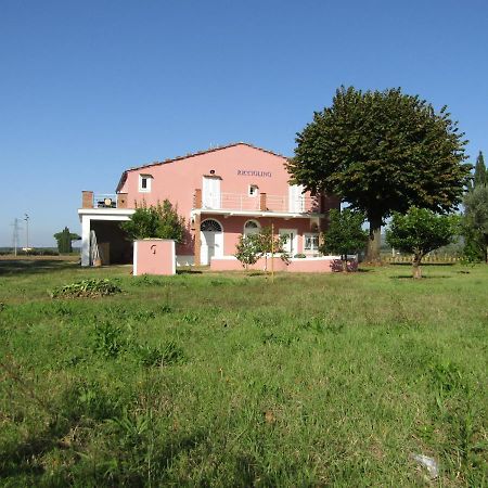 Podere Ricciolino Villa Castagneto Carducci Esterno foto