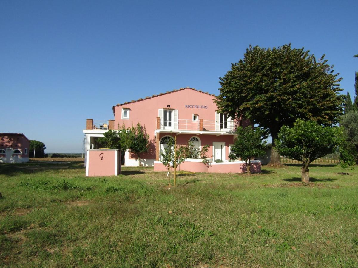 Podere Ricciolino Villa Castagneto Carducci Esterno foto