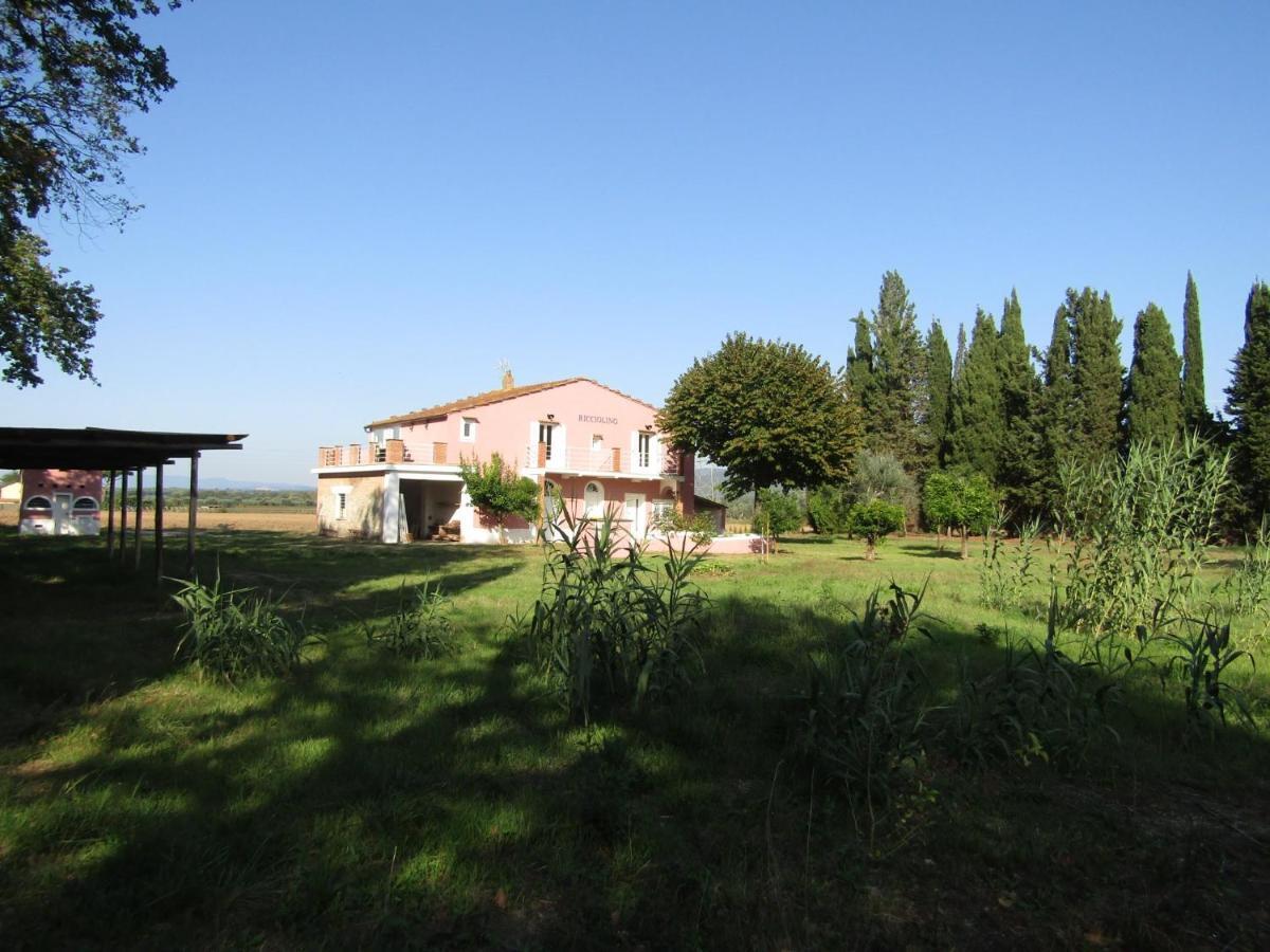 Podere Ricciolino Villa Castagneto Carducci Esterno foto