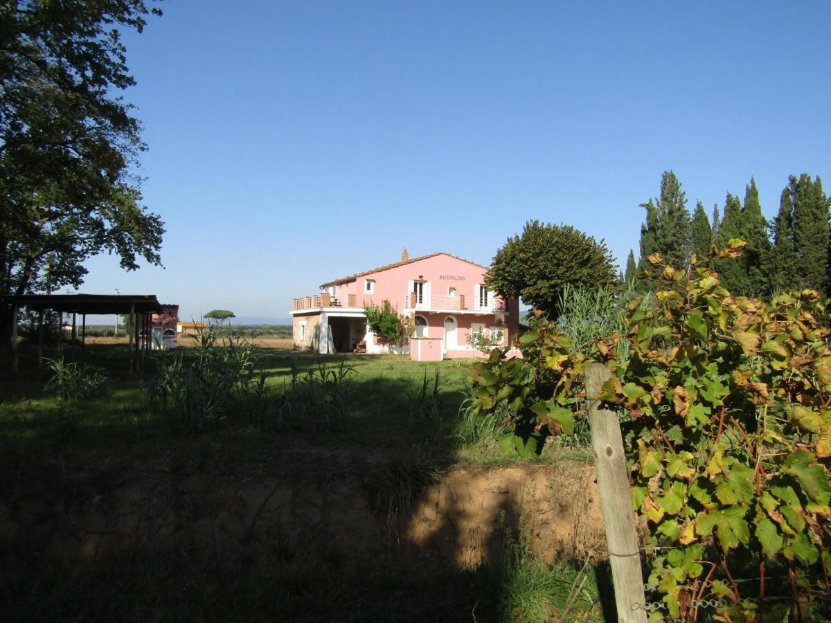 Podere Ricciolino Villa Castagneto Carducci Esterno foto