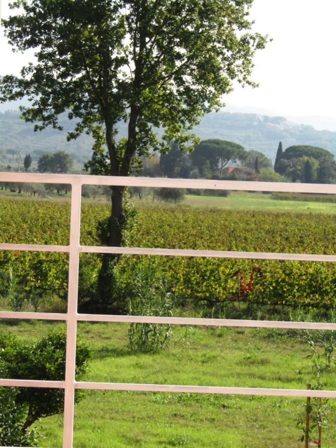 Podere Ricciolino Villa Castagneto Carducci Esterno foto