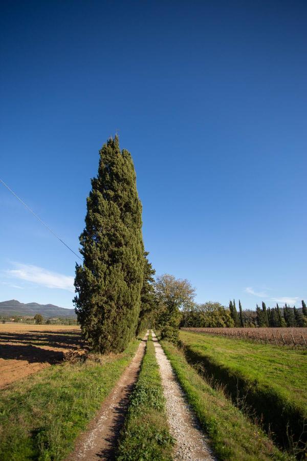 Podere Ricciolino Villa Castagneto Carducci Esterno foto